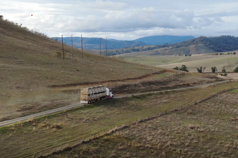 A double decker cattle truck drives down a dirt road, with green paddocks on either side, looking down a hilly valley.