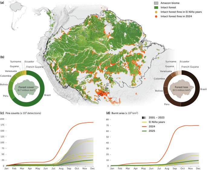 Fire risk mitigation underpins durable Nature-based Climate Solutions in the Amazon