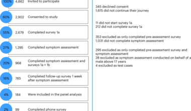 An AI-based symptom checker integrated into MomConnect maternal healthcare platform: a prospective, observational mixed-methods study