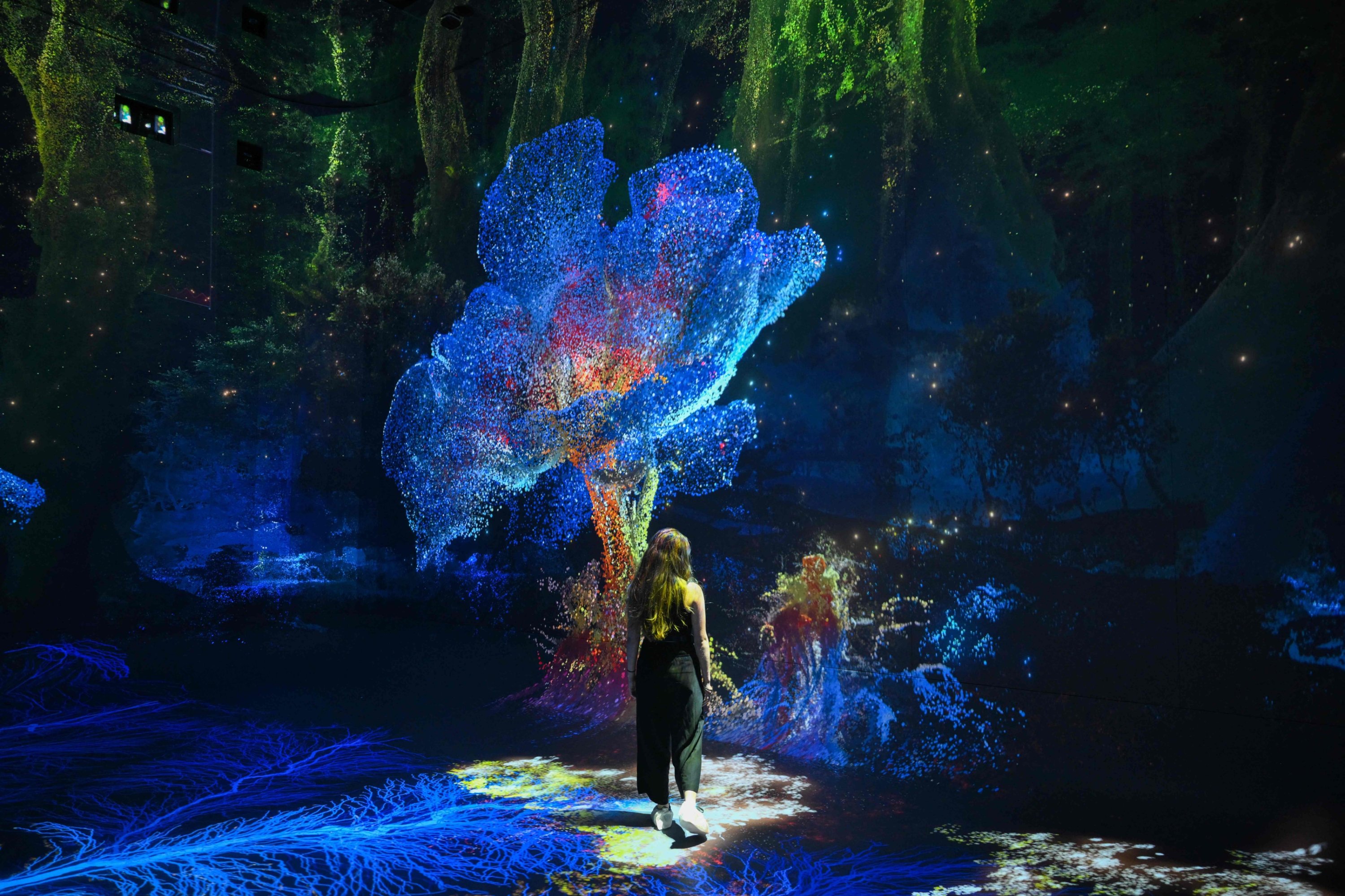 A person walks through immersive visualizations from the inaugural exhibition Machine Dreams: Rainforest are projected at DATALAND, the Museum of AI Arts, Los Angeles, U.S., June 9, 2026. (AFP Photo)