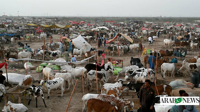 Pakistan’s ‘Go Cashless’ Eid Al-Adha 2026 drive records $122 million in digital payments