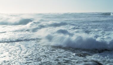 Takashi Homma on His Ongoing Study of the Ocean