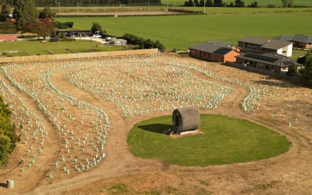 The Methven and Foothills Birdsong Initiative is a community-driven conservation project aiming to restore native birdlife and habitats to Methven, starting with planting the 2 hectares of council-owned land.