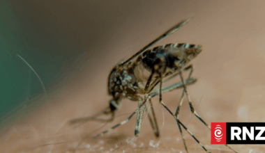 Scientist confronting the rising global threat of mosquitoes
