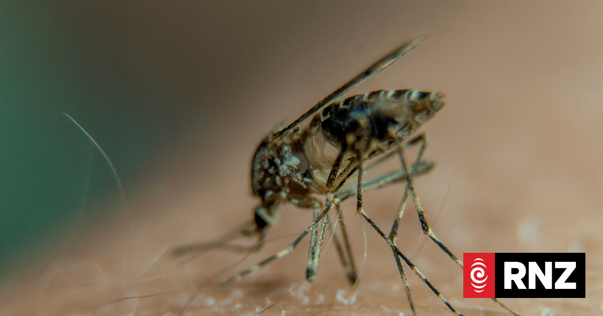 Scientist confronting the rising global threat of mosquitoes