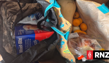 'We need help': Food rescues facing risk of closure