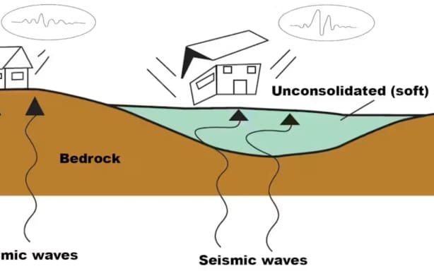 As seismic waves travel from more solid basement rocks to sedimentary rocks, their amplitude will increase to compensate for the drop in wave speed.