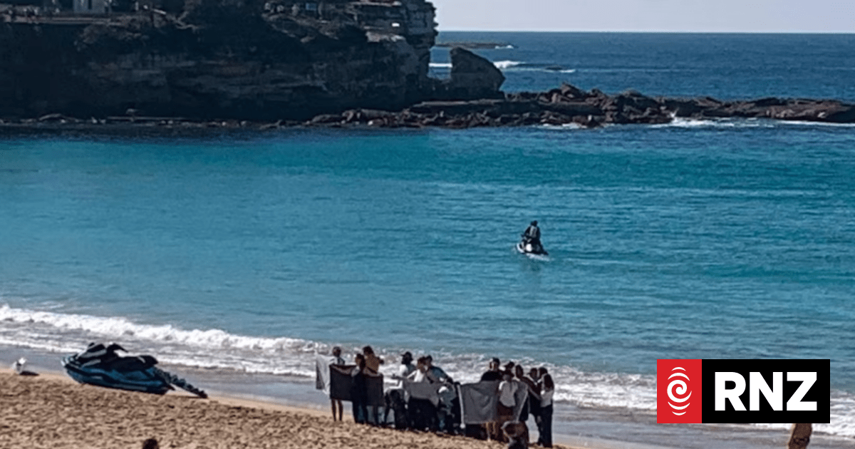 Woman in critical condition after shark attack at Sydney's Coogee Beach