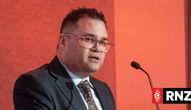 Labour slams council reforms as 'messy, watered-down'