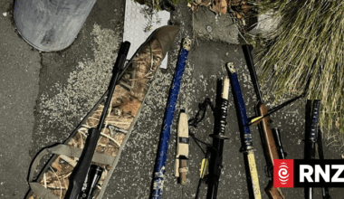 Man found holding a loaded crossbow after a crash in Palmerston North