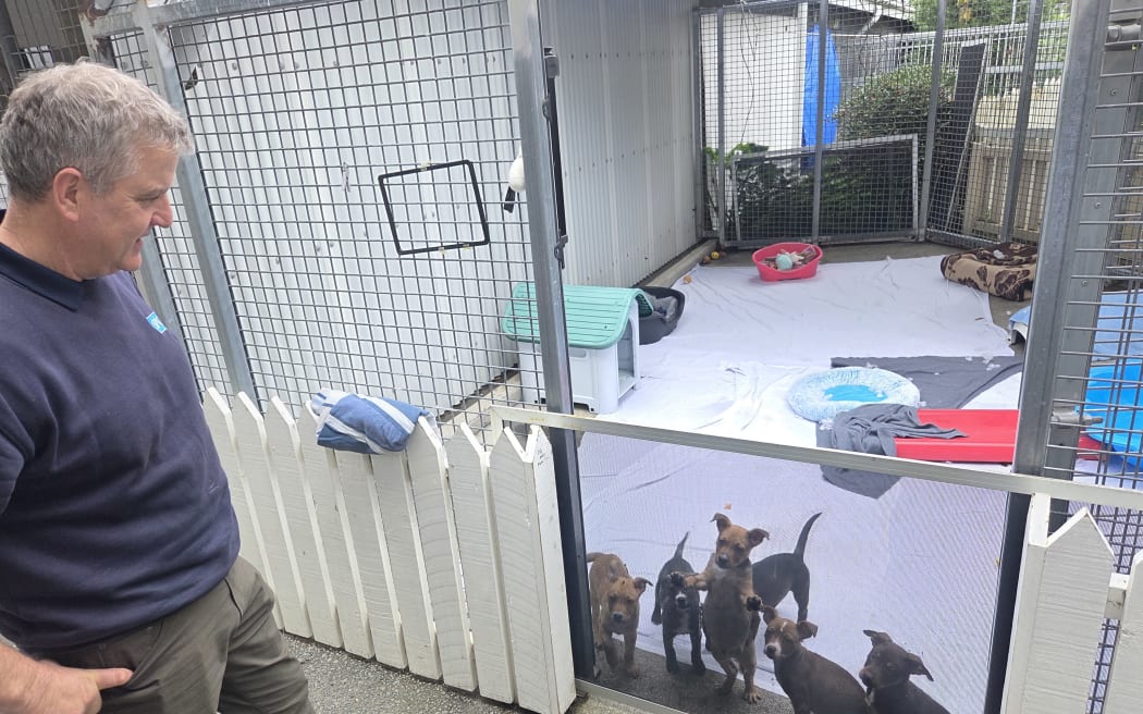Graeme Ford with a litter of seven puppies rescued from a backstreet breeder.