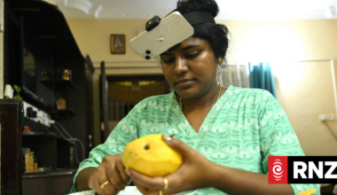 The Indian workers training AI robots to take their jobs