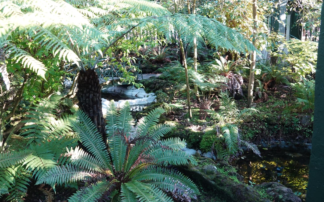 A mystery defecator has struck again - closing a much-loved fernery in Masterton while cleaning teams wiped up their mess.
