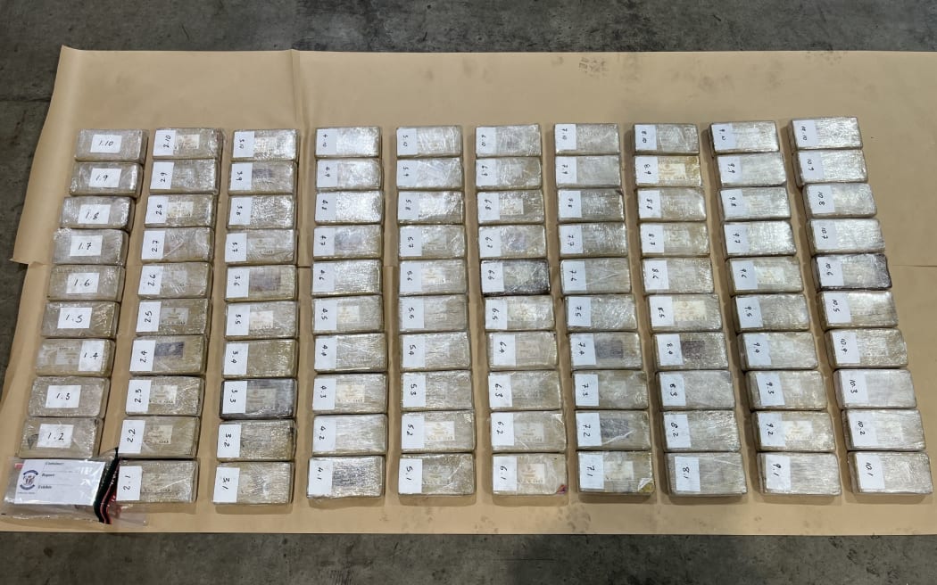 One hundred bricks of cocaine seized at the Port of Tauranga on 8 June 2026.
