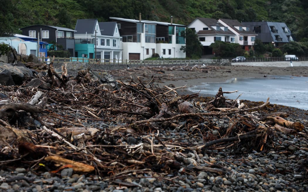 Owhiro Bay day after high waves - June 10