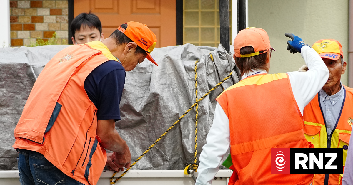 Japanese city relieved as bear caught after roaming streets for days