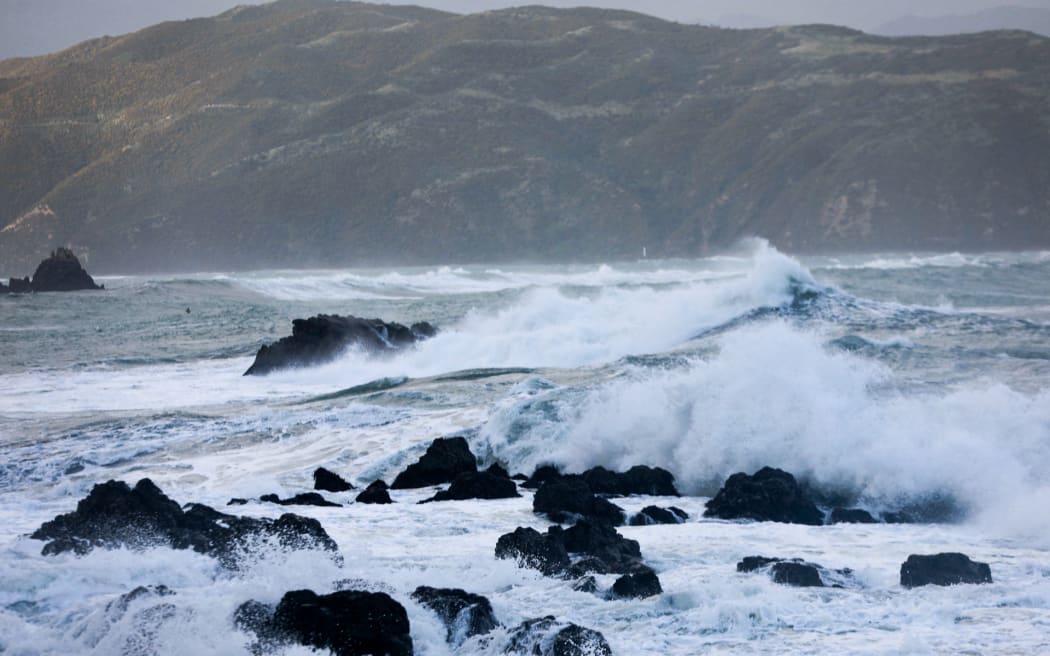 Swells at Breaker Bay, Wellington, on afternoon of 9 June, 2026.