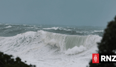 'Really scary': Wellington's coastal locals cleared to go home after 11m swells