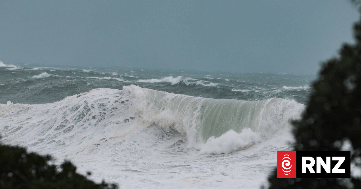 'Really scary': Wellington's coastal locals cleared to go home after 11m swells