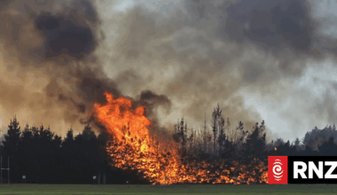 Watch: Huge blaze rips through trees near Oamaru school
