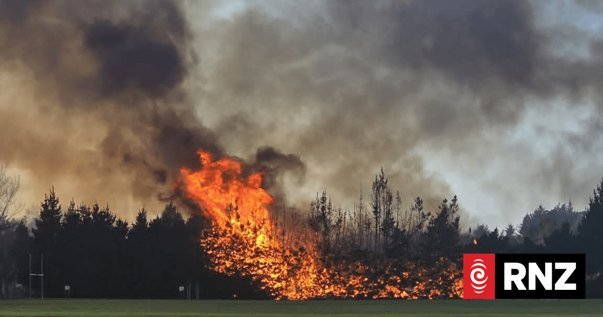 Watch: Huge blaze rips through trees near Oamaru school
