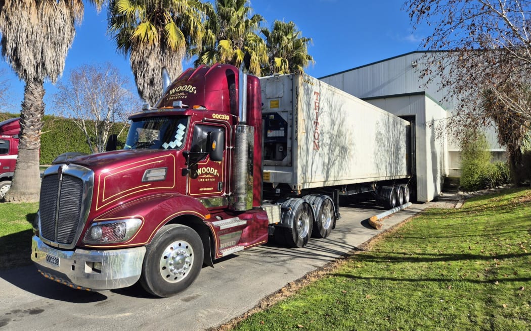 10 shipping containers of apples are sent to Napier Port every day.