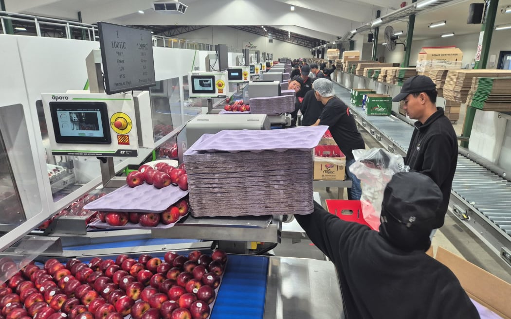 Taylor Corp Apple's packhouse.