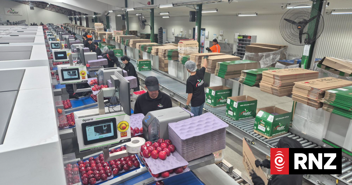 AI and robots help Hawke's Bay apple exporter double processing capacity