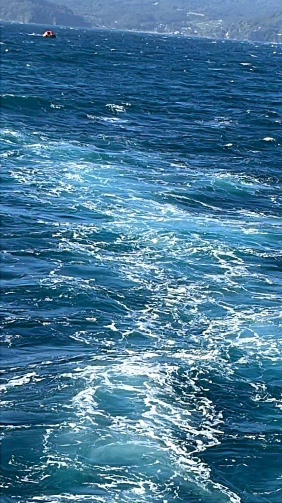 life rafts depart a boat between Auckland and Great Barrier Island.