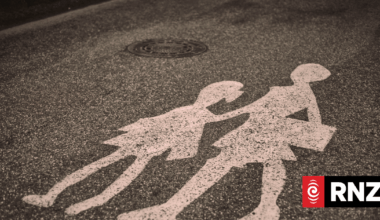 Call for mandated school van supervision after 'preventable' death of disabled boy