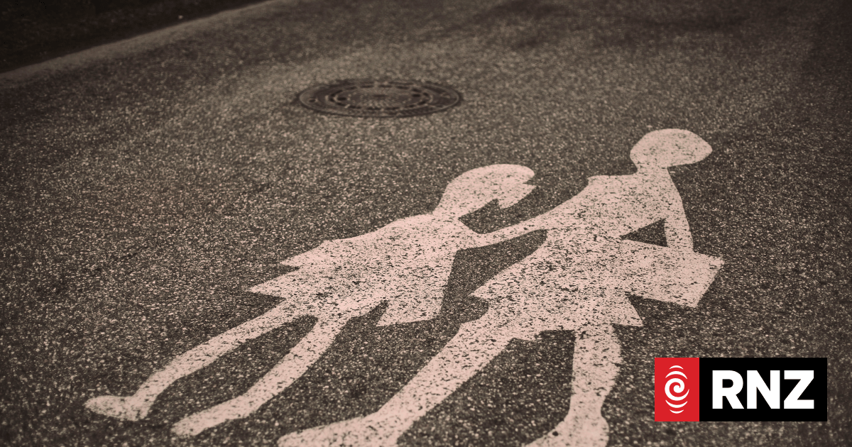 Call for mandated school van supervision after 'preventable' death of disabled boy