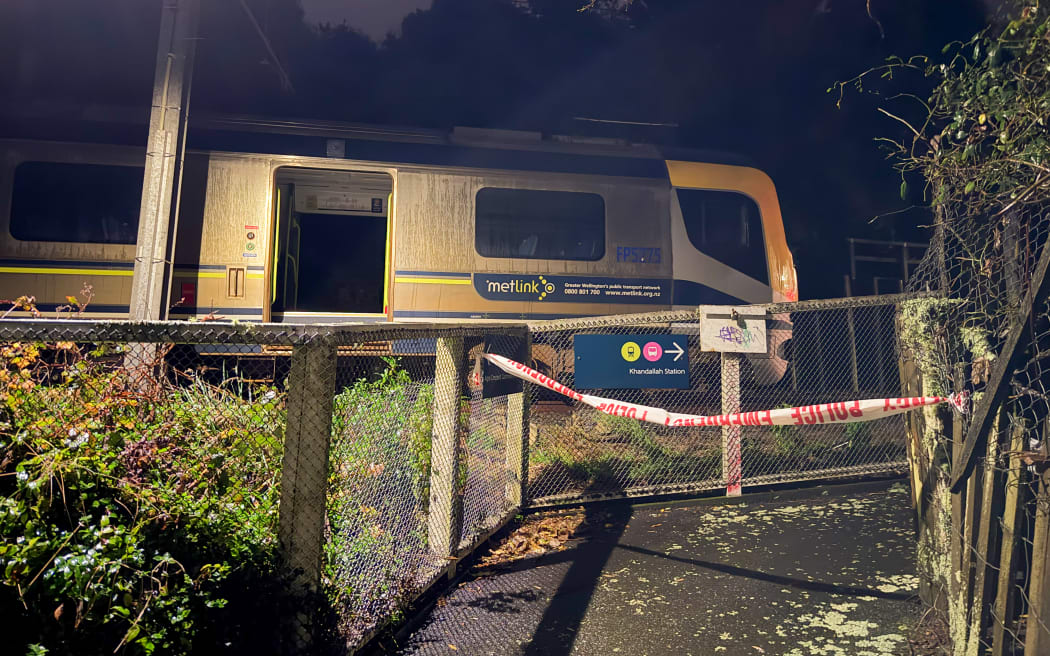 The train that derailed near Box Hill in Wellington on the night of 6 June 2026