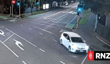 Police seek driver who stopped then left scene of fatal Christchurch crash