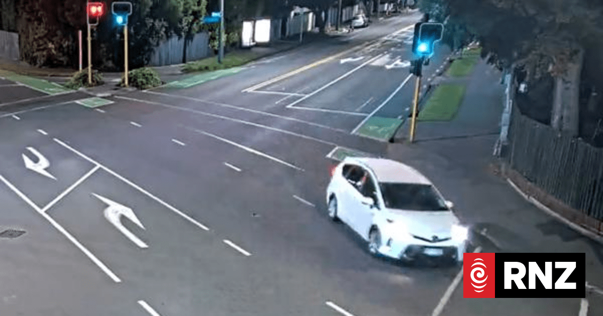 Police seek driver who stopped then left scene of fatal Christchurch crash