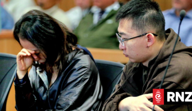 Mother, son sentenced for attempting to illegally export pounamu
