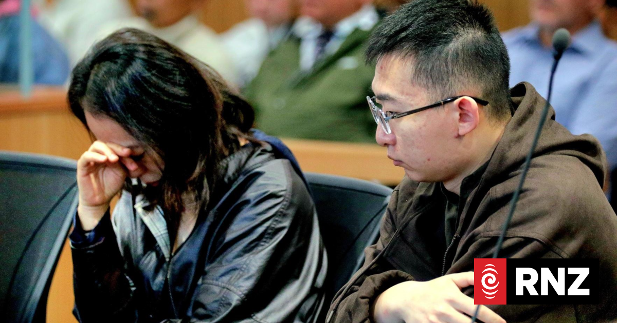 Mother, son sentenced for attempting to illegally export pounamu