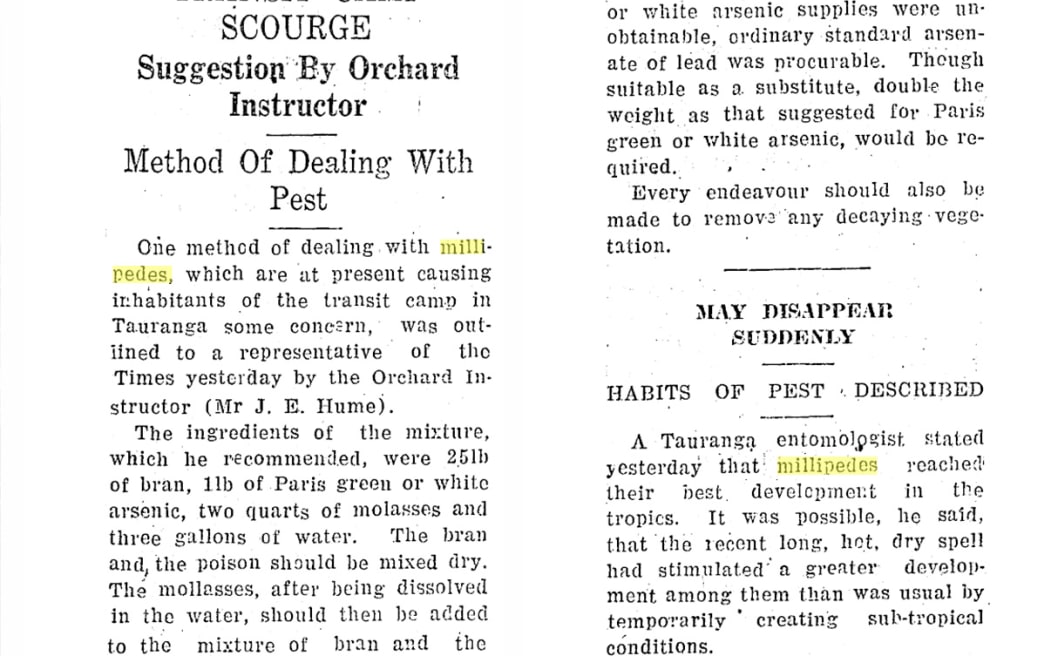 Historic newspaper clippings covering millipedes - to go with MILLIPEDE-HISTORIC-WEB from Mary Argue