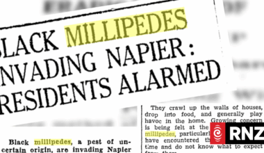 Historic millipede outbreak sparks fresh research