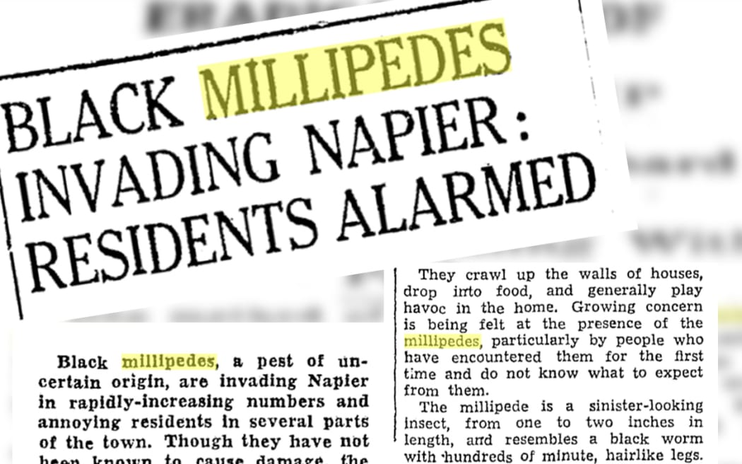 Historic newspaper clippings on millipedes.