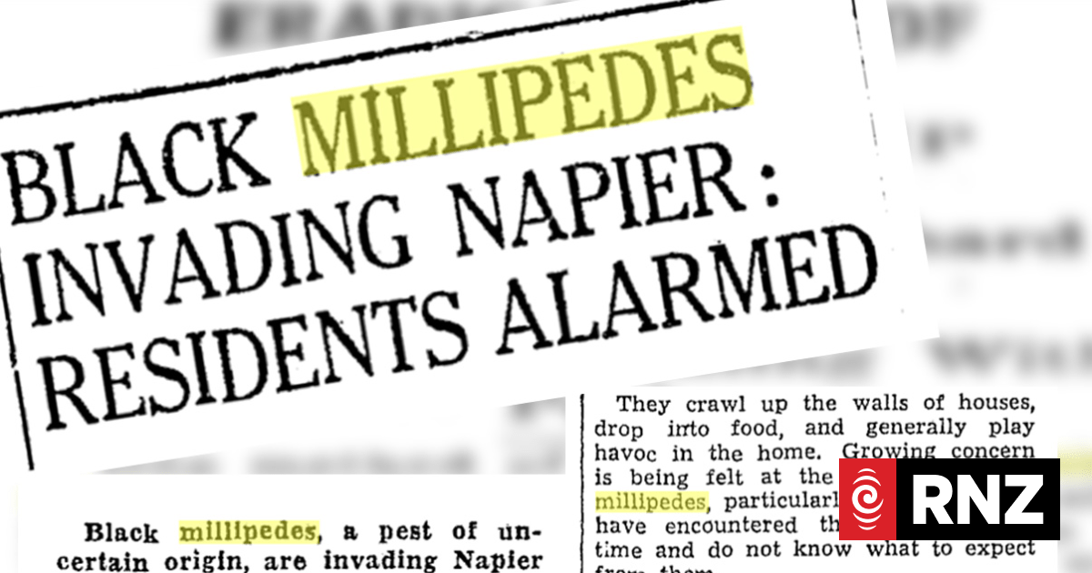 Historic millipede outbreak sparks fresh research