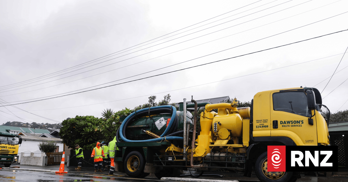 Major Island Bay sewage spill caused by pieces of timber, Wellington Water says