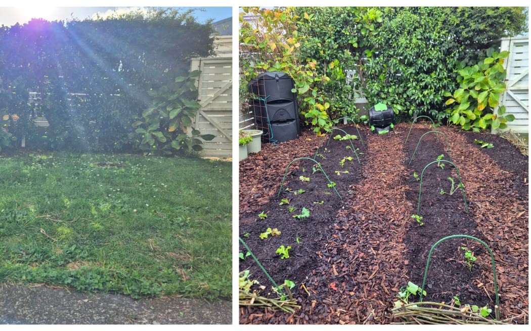 From grass to garden.