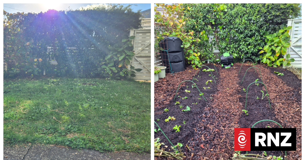 Country Life's Garden Diaries: From lawn to leafy greens
