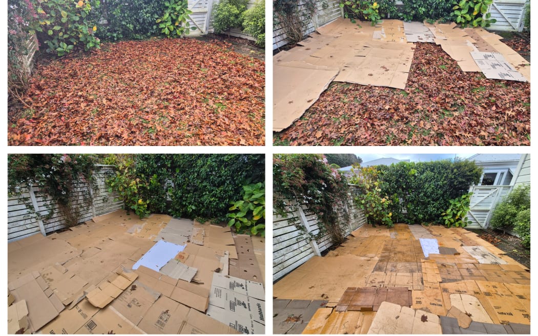 Compost and other organic material is added to build up the layers in the garden beds.