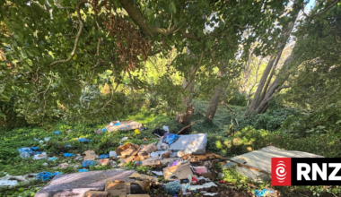 NZ's illegal dumping problem: mattresses, couches, cardboard boxes