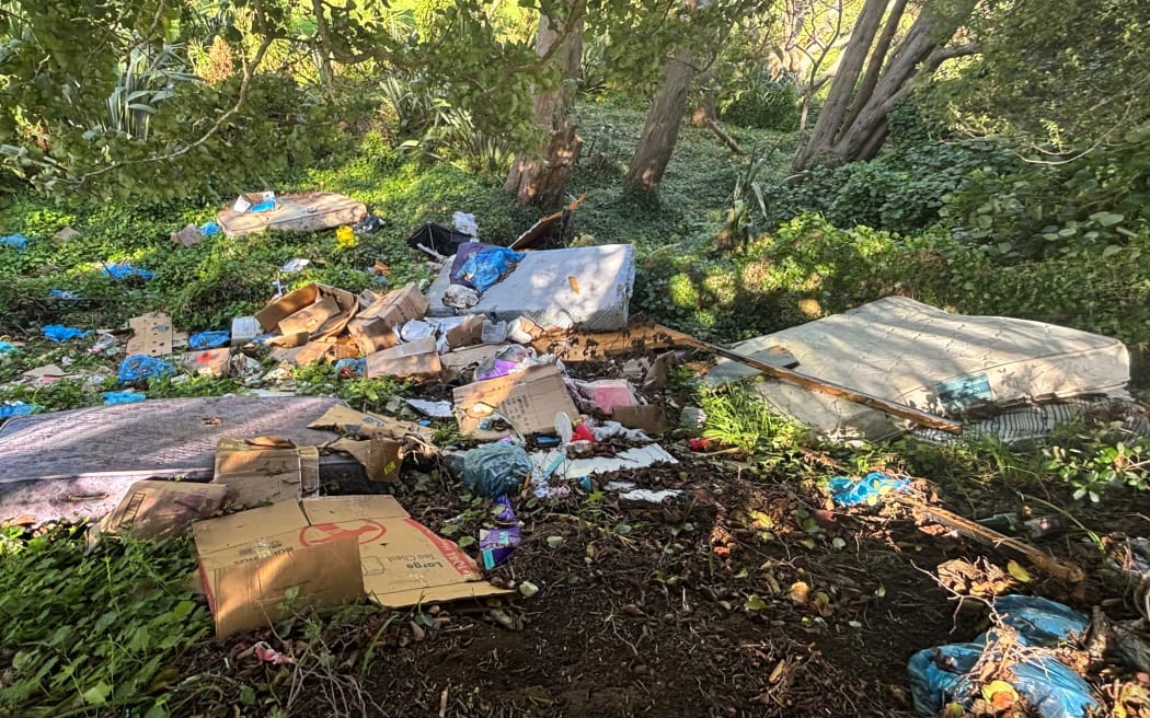 The aftermath of illegal dumping in the bush at Sturges Park in Otahuhu, Auckland.