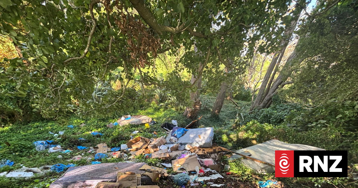 NZ's illegal dumping problem: mattresses, couches, cardboard boxes