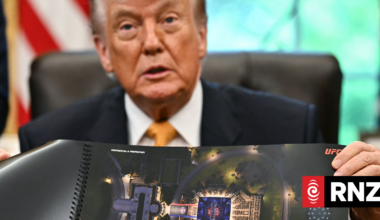 What we know about the UFC fight at the White House