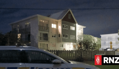 Man charged with assault after allegedly obstructing firefighters at a blaze in Lower Hutt