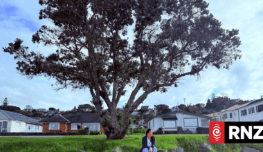 Mum denied memorial bench for son found dead at Auckland beach